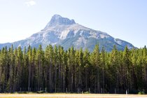 Redearth Vista