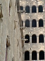 Palau Reial