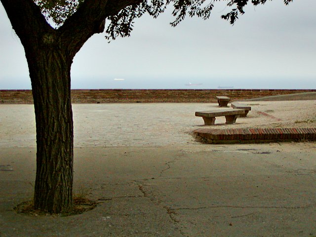 Sea vista