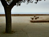 Sea vista
