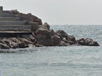 Steps