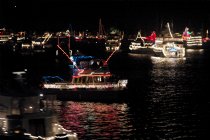 Many boats