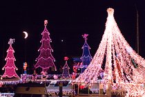 Family Trees, II