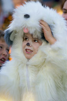 Sheepdog