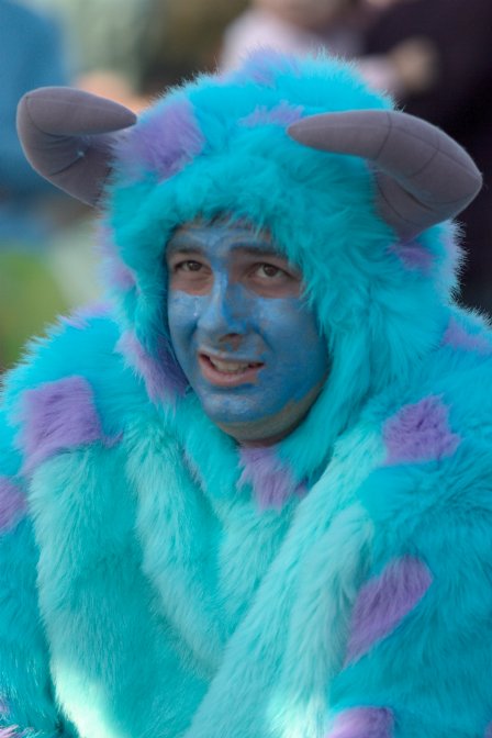 Sully