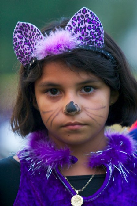 Purple cat