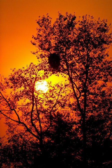 Smoky sunset