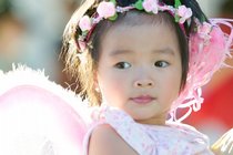 Pink Fairy