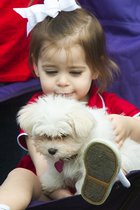 Emma With Puppy, II