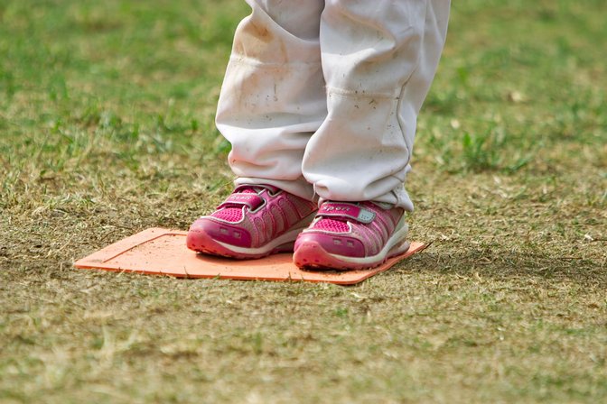 The Pink Shoes