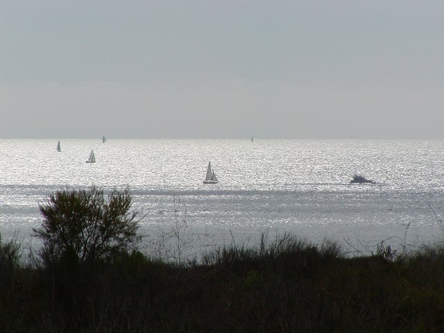 Silver Light
