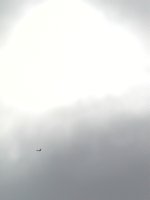 Kite
