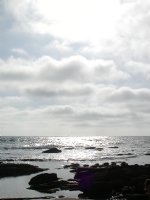 Crystal Cove
