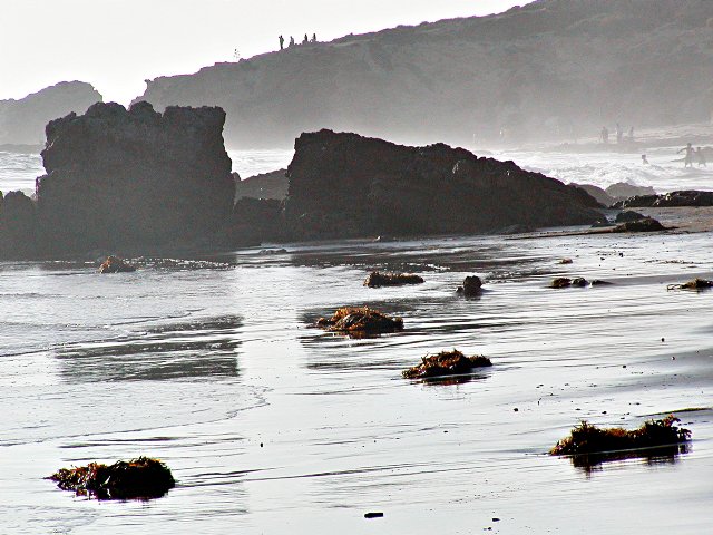 Tidescape