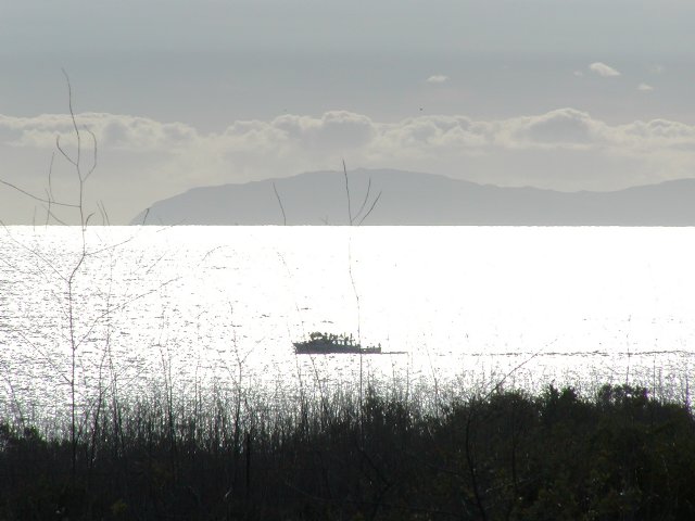 Blufftop View
