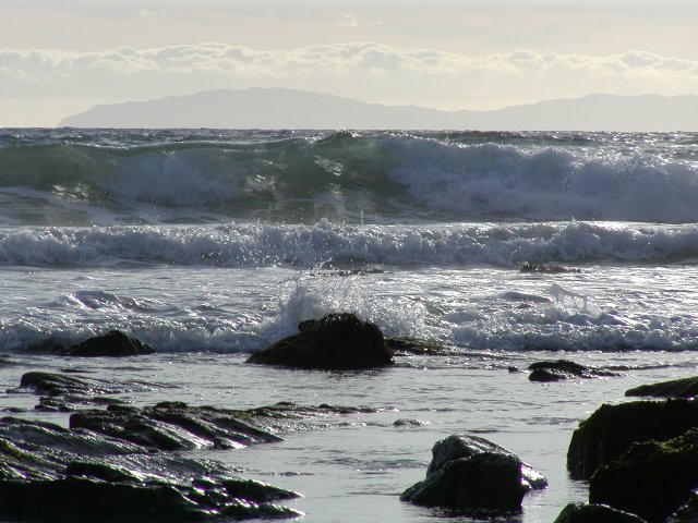 Catalina and Surf