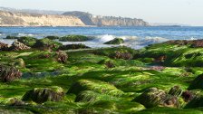 Crystal Cove