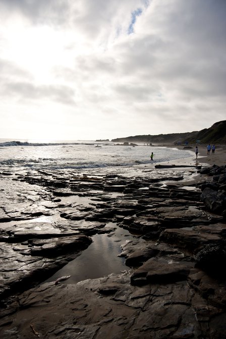 Tidepool