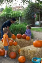 Pumpkins