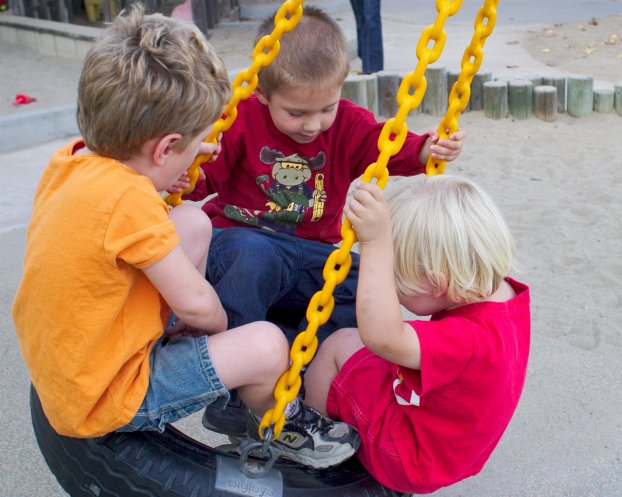 Tire swing