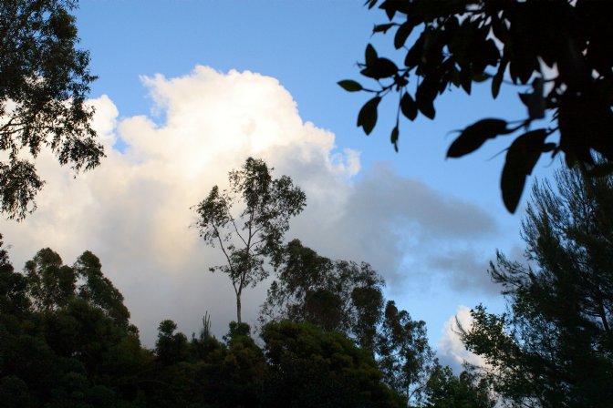 Clouds