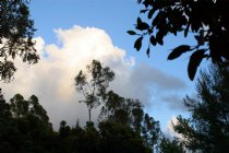 Clouds