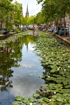 Delft