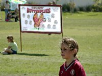 Butterfly banner