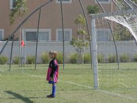 Dolphin Goalie
