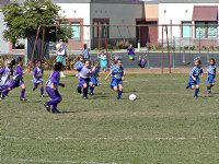 Loose ball