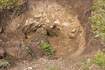 Bear Diggings