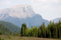 Rock Isle Trail, I