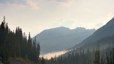 Sunshine Meadows Base