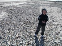 Duxbury Beach, I