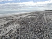 Duxbury Beach, II