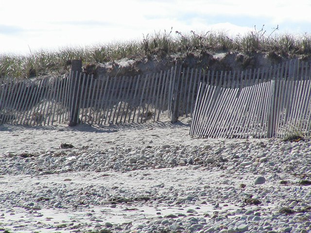 Duxbury Beach, V