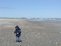 Duxbury Beach, VI