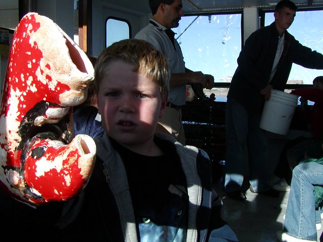 Big Lobster Claw