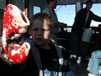 Big Lobster Claw