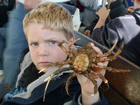 Lobster Boat