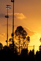 Sunset, I