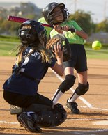 Coco Catching