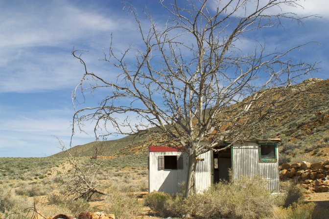 White shack, dead tree, Aguereberry Camp