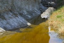 Salt Creek