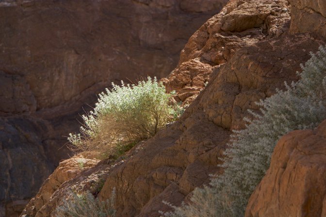 Titus Canyon