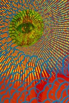 Eye Mandala