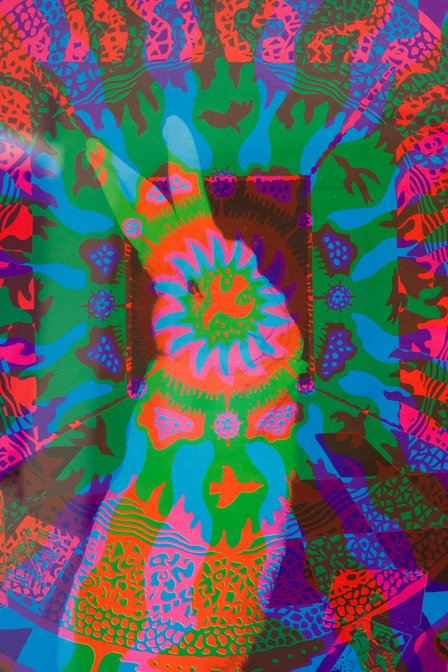 White Rabbit In Wonderland