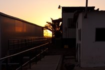 CICESE, I