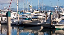 Marina, II