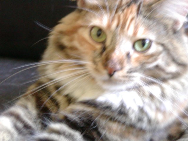 Ashley close-up